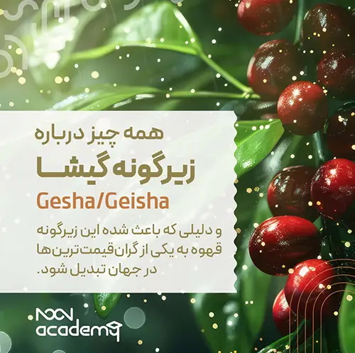 آکادمی نون